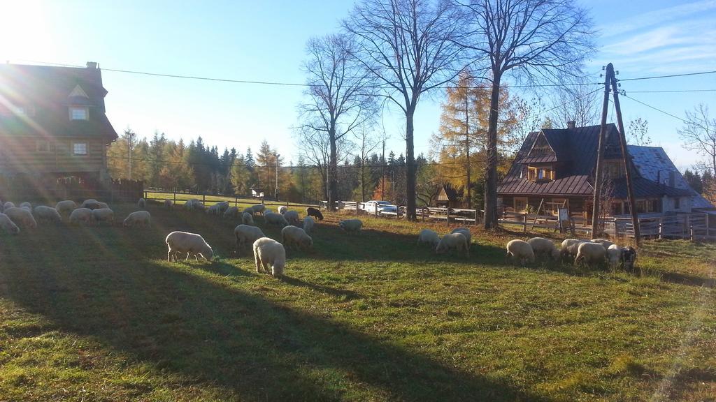 Pompelówka - chata na Głubałówce Zakopane Exterior foto